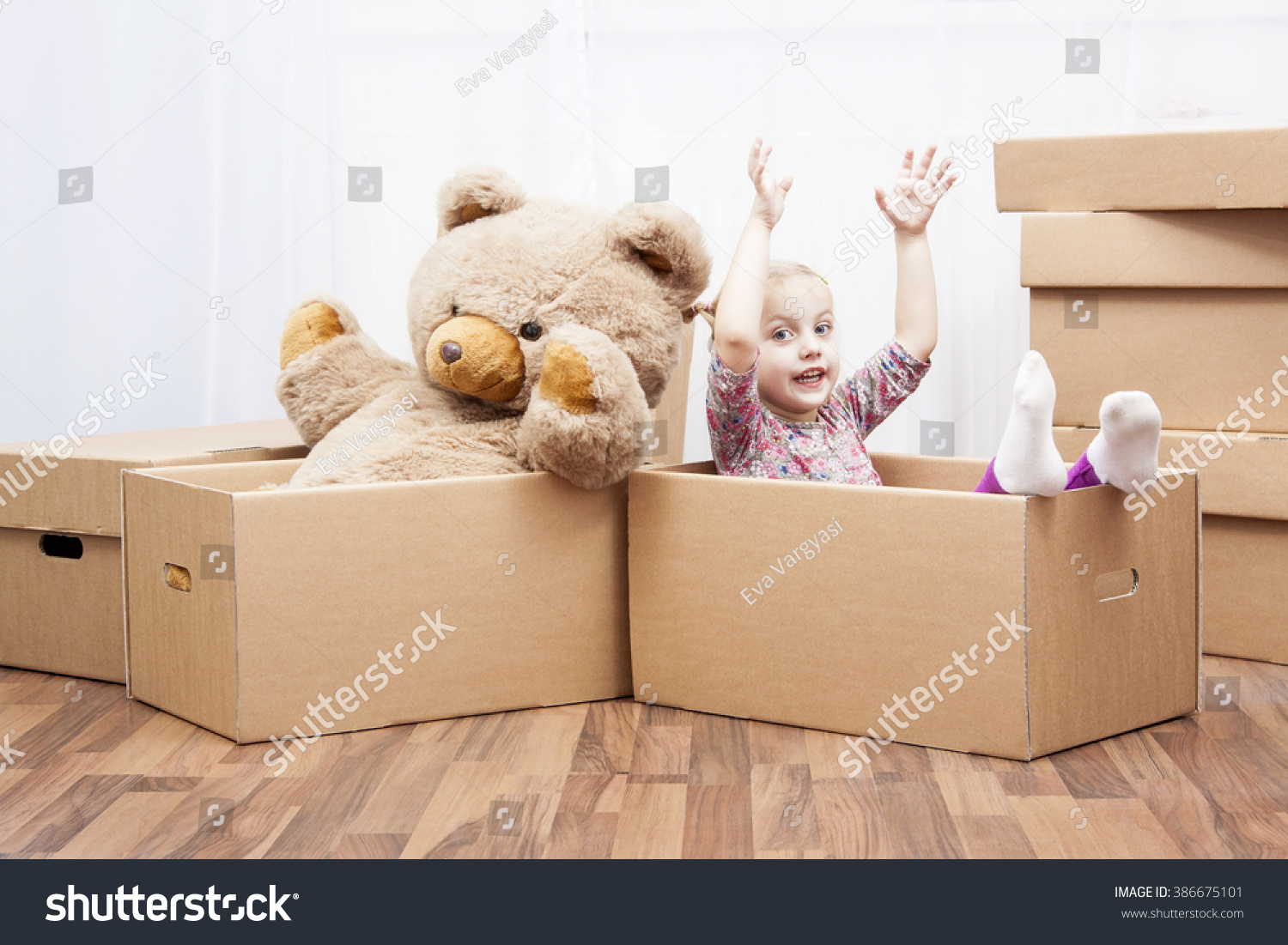 teddy in a box delivery