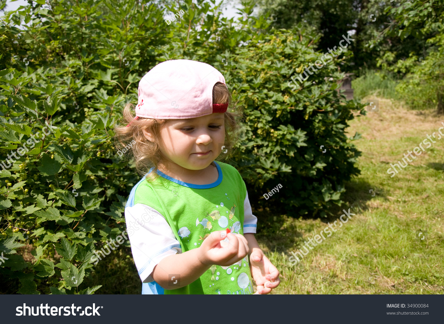 Little Girl Eating Sour Berry Garden Stock Photo (Edit Now) 34900084