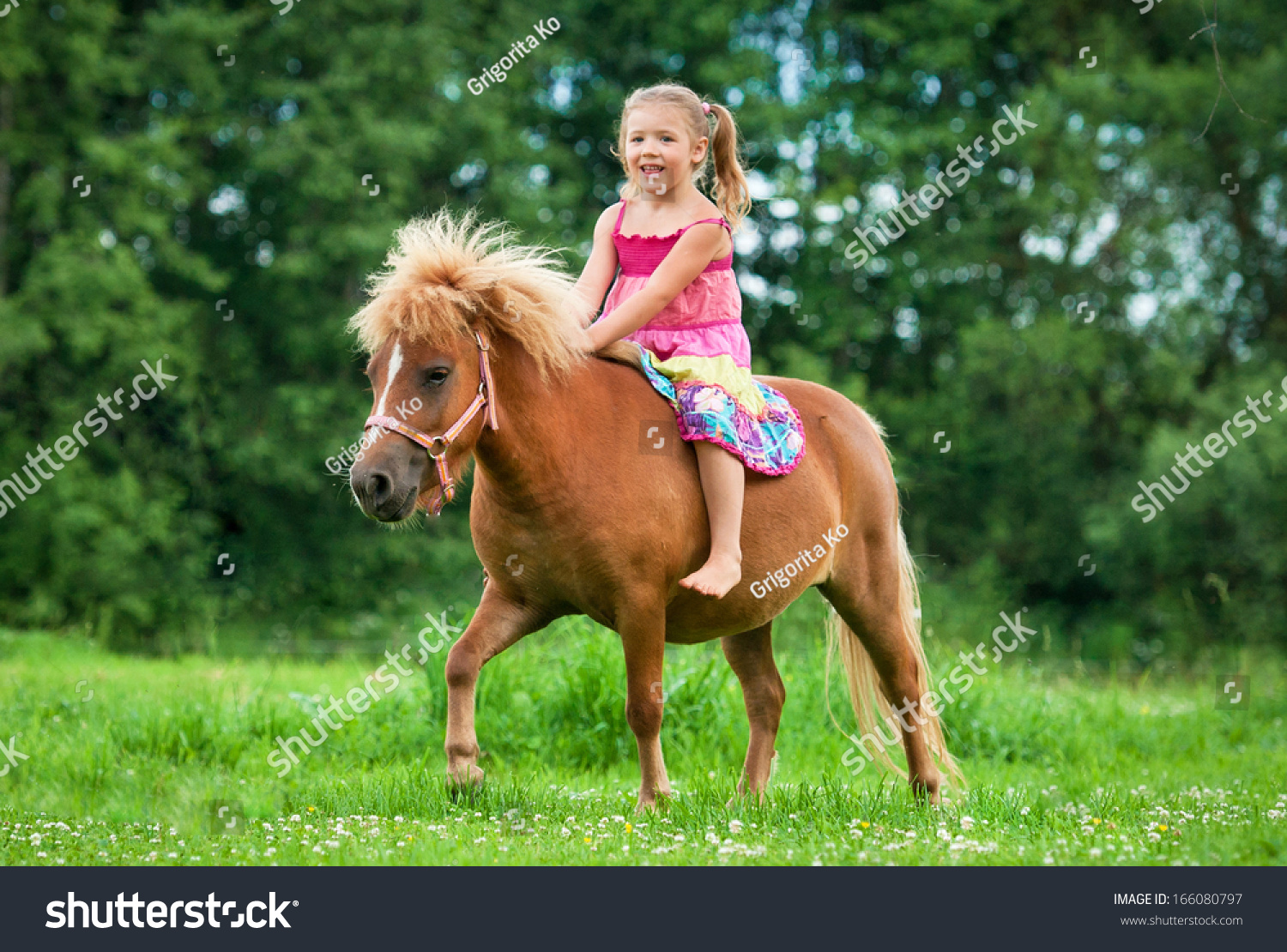 Little Girl Riding Little Pony Stock Photo Edit Now 166080797