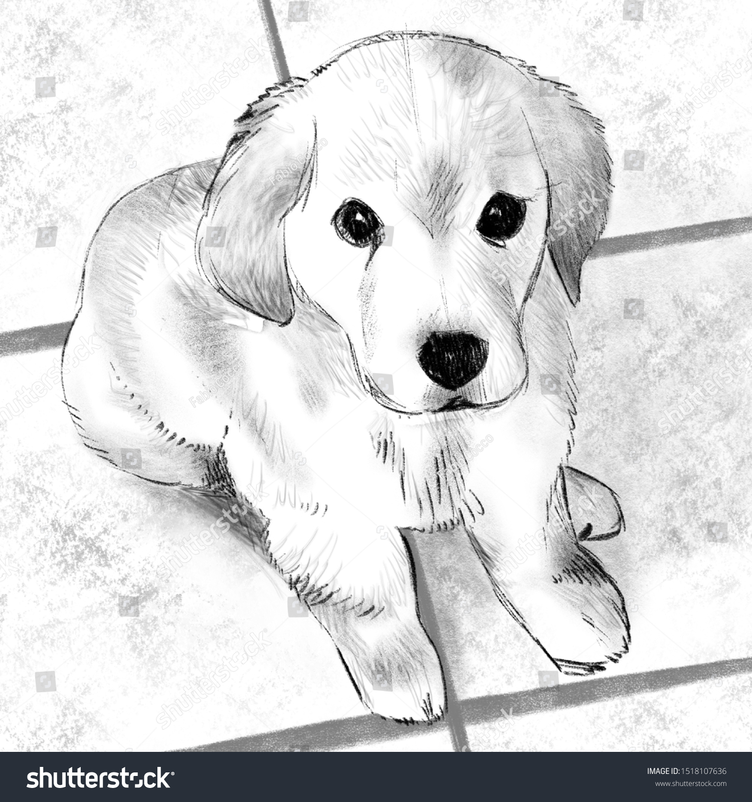 Little Golden Retriever Illustration Black White Stock Illustration ...