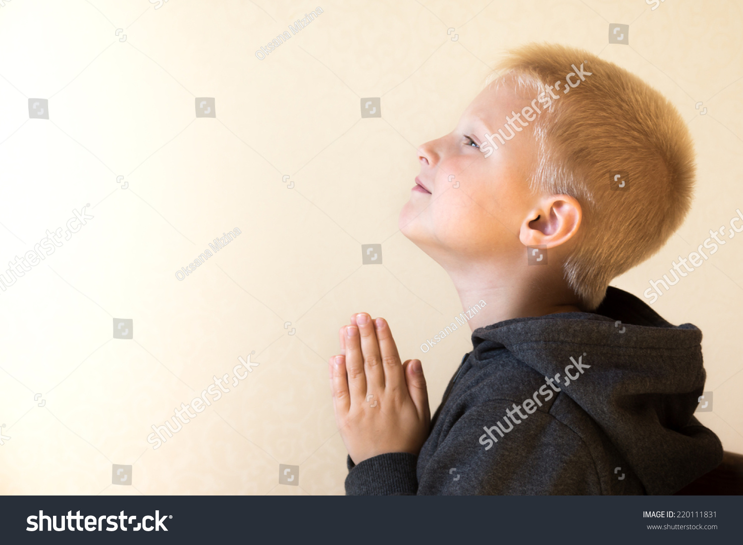 Little Young Beautiful Boy Child Kid Stock Photo 220111831 - Shutterstock