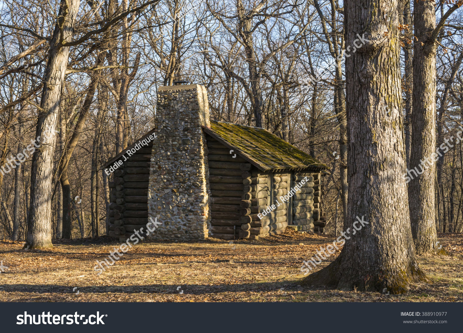 Log Cabin Woods Matthiessen State Park Stock Photo Edit Now