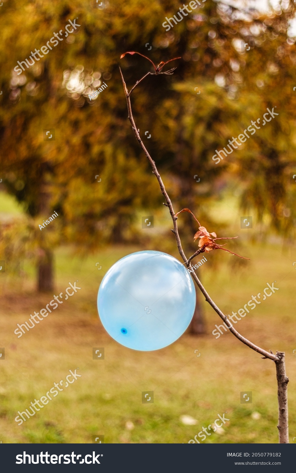 Balloon Naked Stock Photos Images Photography Shutterstock