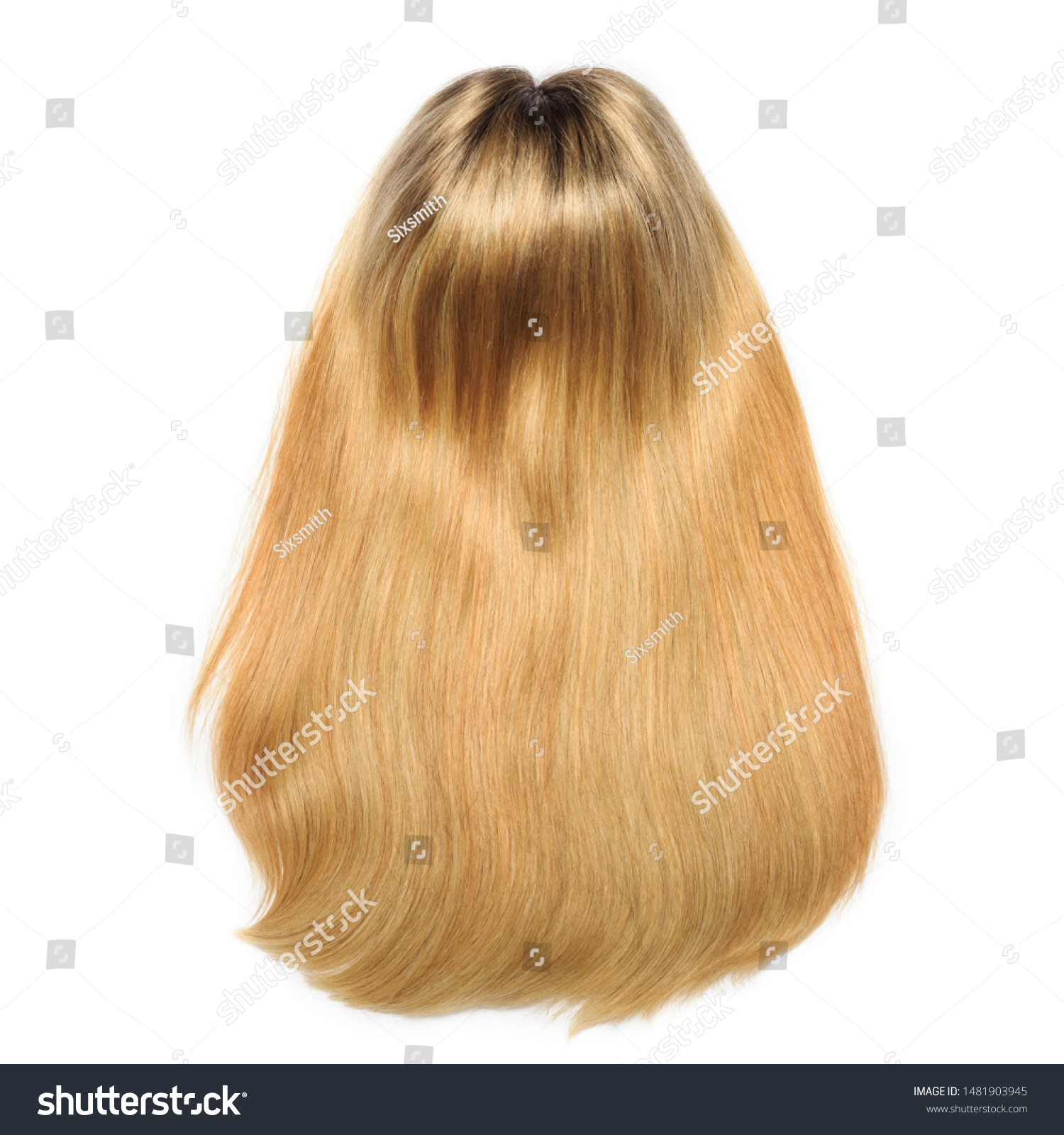 Long Straight Black Brown Two Tone Stock Photo Edit Now 1481903945