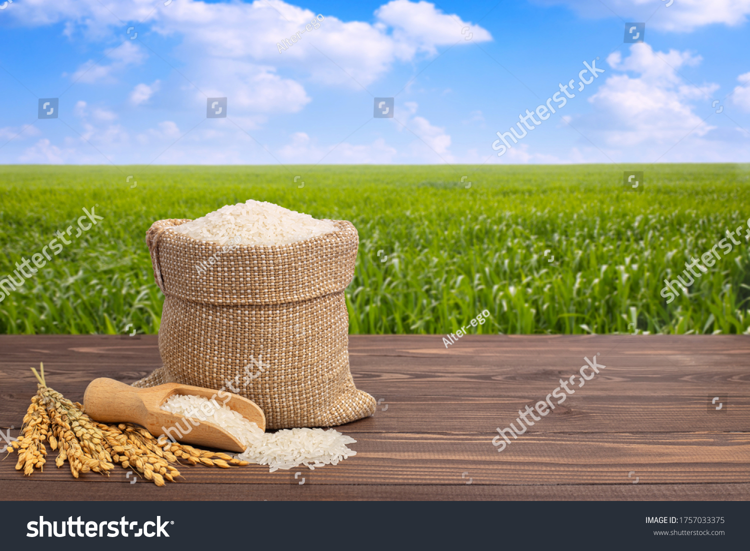 8,119 Rice in burlap sack Images, Stock Photos & Vectors | Shutterstock