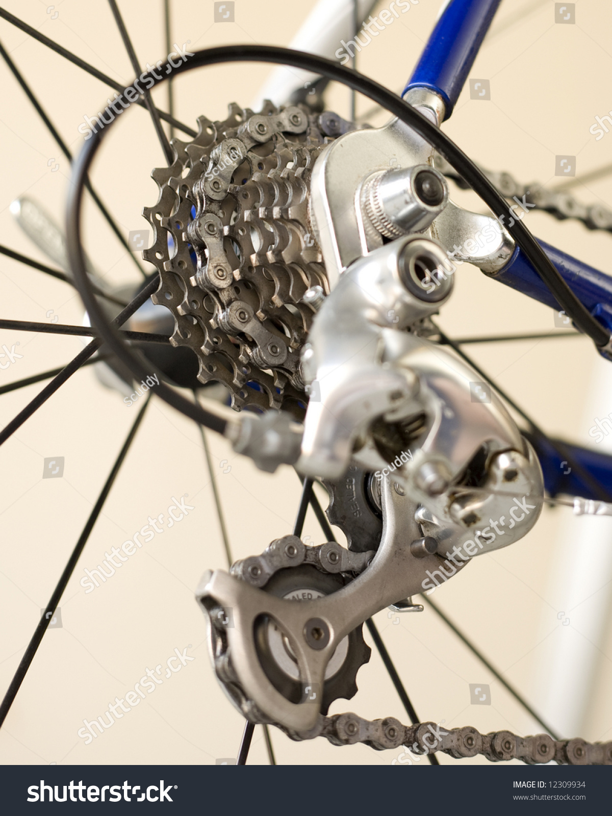 Looking Up At Rear Gear Cluster Of Bicycle Stock Photo 12309934 ...