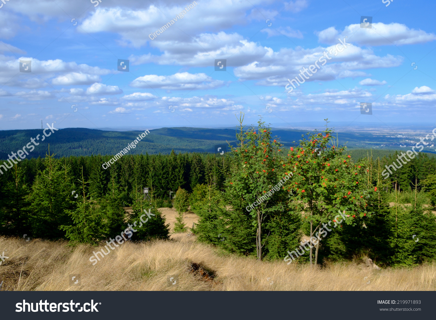 Lookout From The Peak Of The Altkoenig Mountain, Taunus, Hessen ...