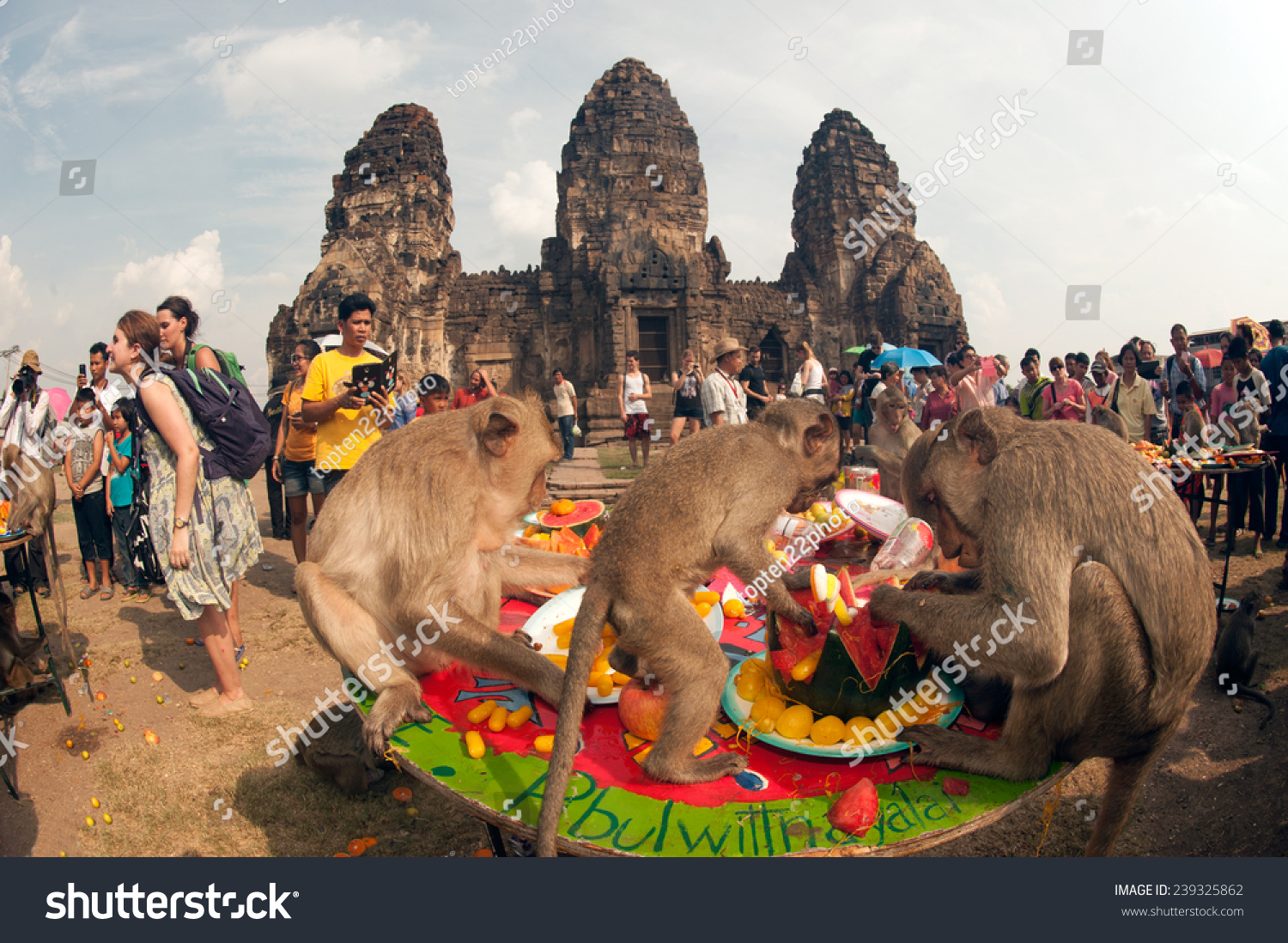 12,772 Thailand monkey temple Images, Stock Photos & Vectors | Shutterstock