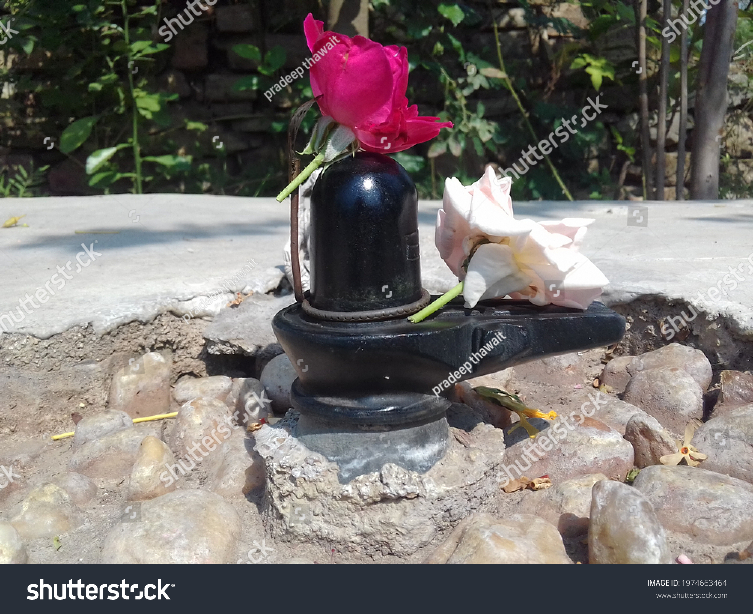 Lord Shiva Statue Red White Rose Stock Photo 1974663464 | Shutterstock