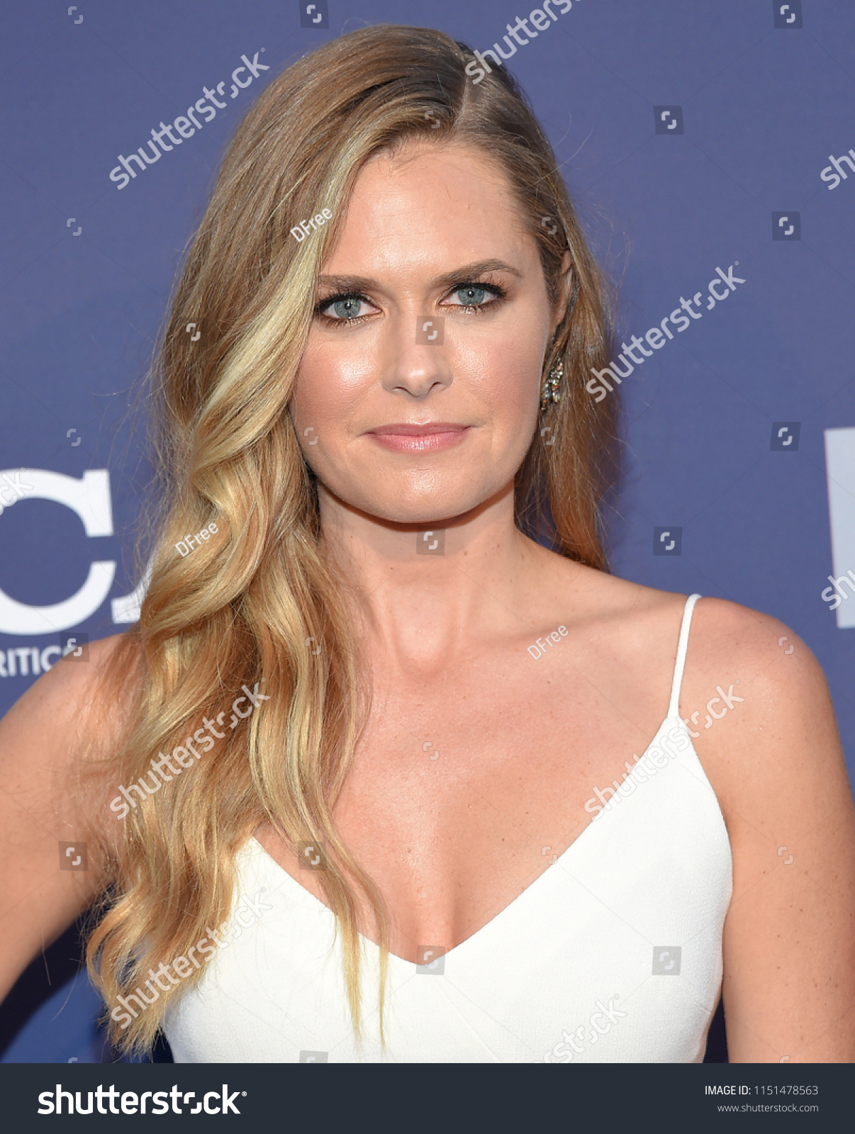 147 Maggie lawson Images, Stock Photos & Vectors Shutterstock