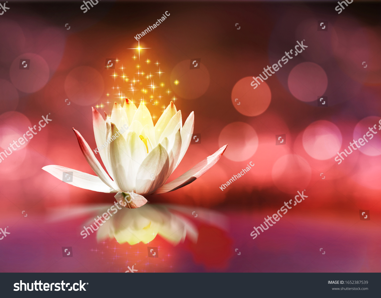 Lotus Floating On Water Glitter Sparkle Stock Photo (Edit Now) 1652387539