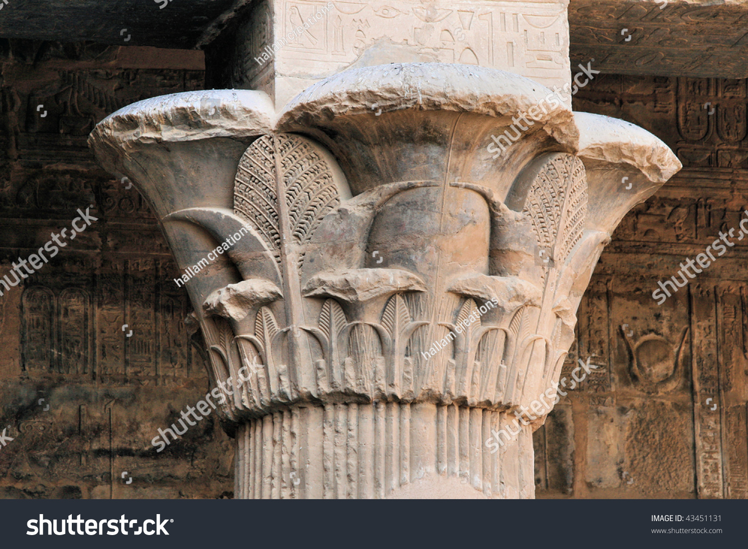 Lotus Flower Column Edfu Temple Egypt Stock Photo Edit Now