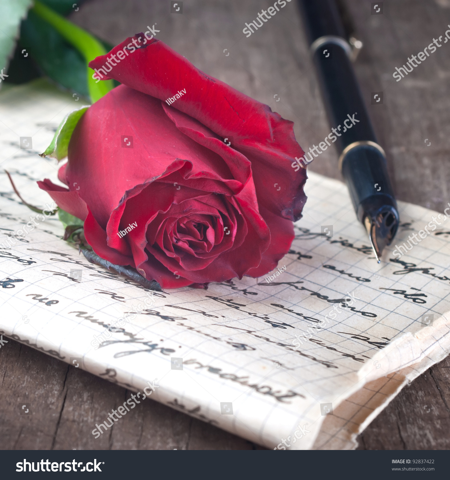 Love Letter Rose Close Stock Photo 92837422 | Shutterstock