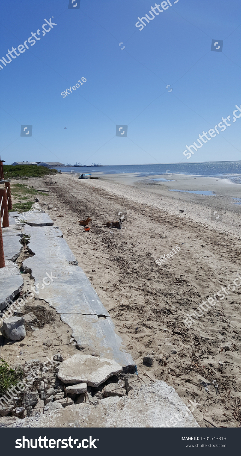 Low Tide Beaches Puerto San Carlos Stock Photo Edit Now 1305543313