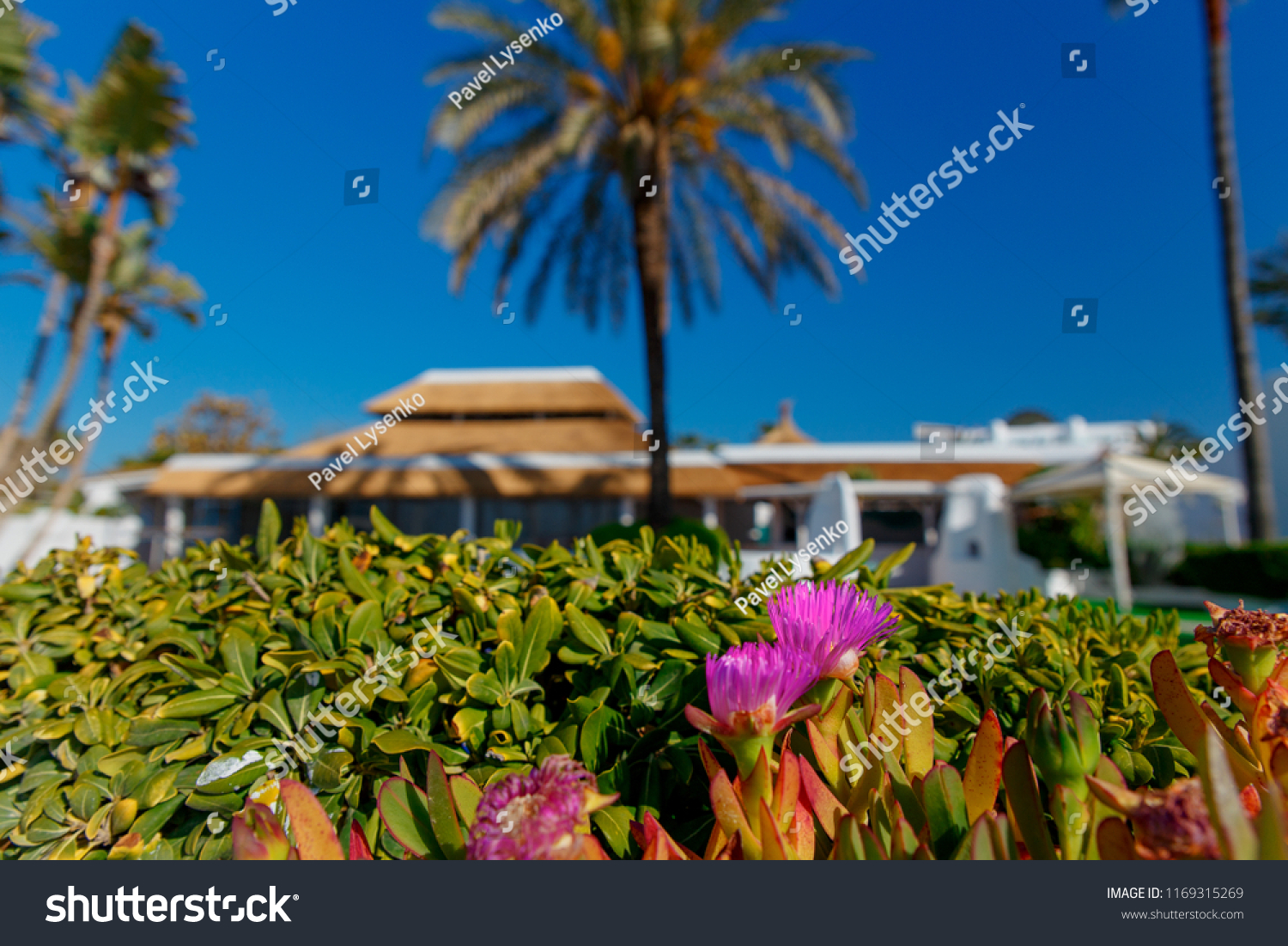 Luxury Property Beachside Apartments Beautiful Blue Royalty Free