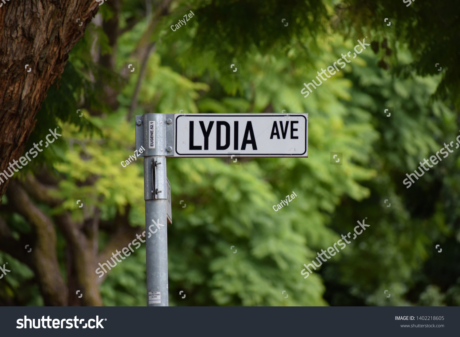 Lydia Avenue Road Signstreet Name Stock Photo Edit Now