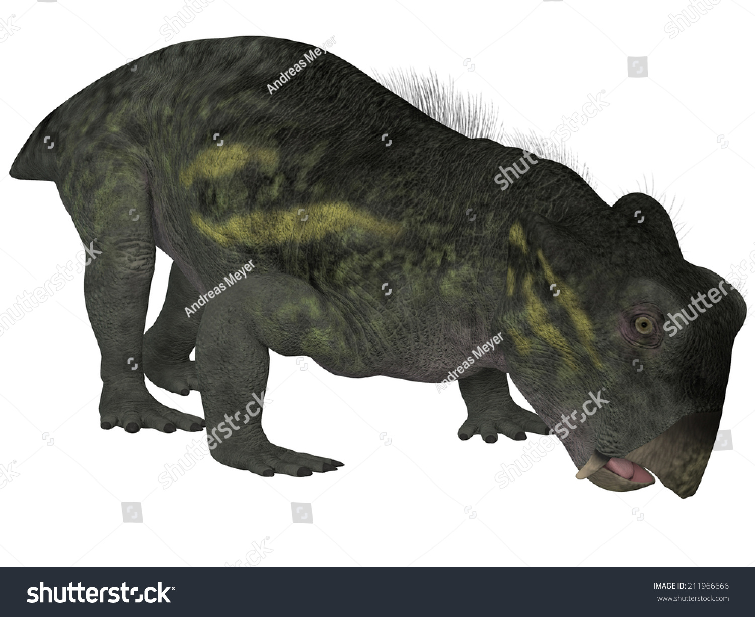 Lystrosaurus 3d Dinosaur Stock Illustration 211966666 | Shutterstock