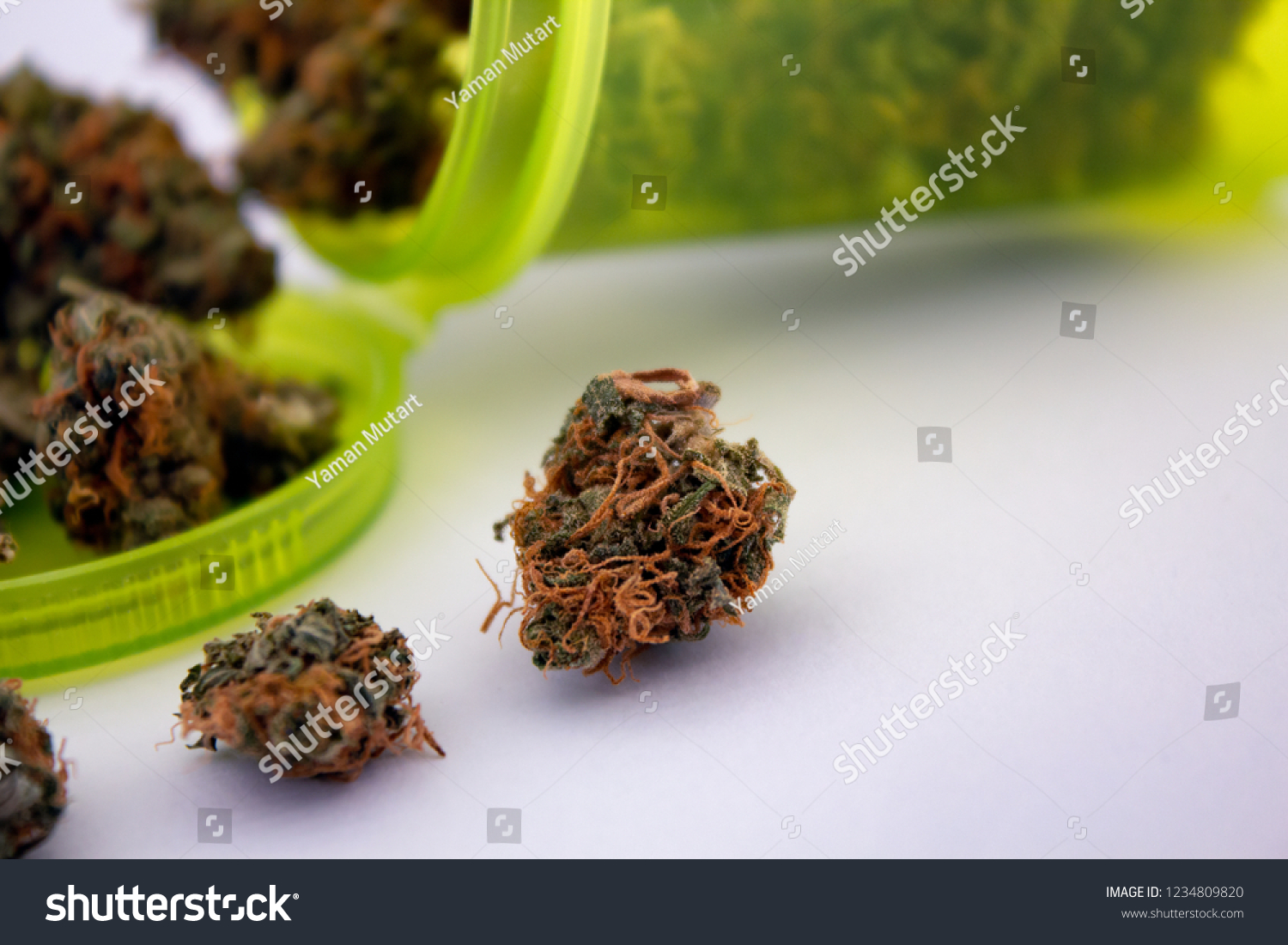 Macro Close Small Marijuana Bud Long Stock Photo Edit Now 1234809820