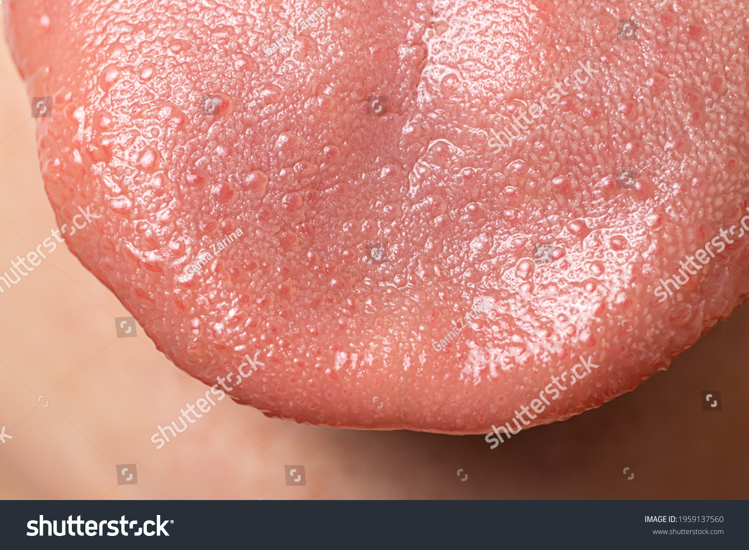 Macro Close Surface Human Tongue Sensory Stock Photo (Edit Now) 1959137560