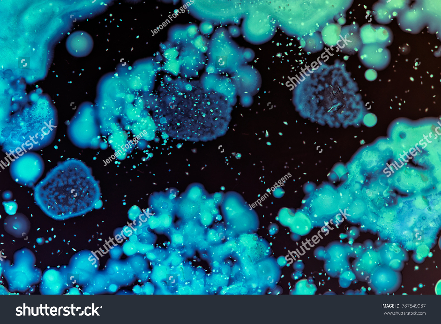 Mold Bacteria Images Stock Photos Vectors Shutterstock   Stock Photo Macro Photography Of Colorful Wild Growing Bacteria Colonies And Molds In A Petri Dish Forming All 787549987 