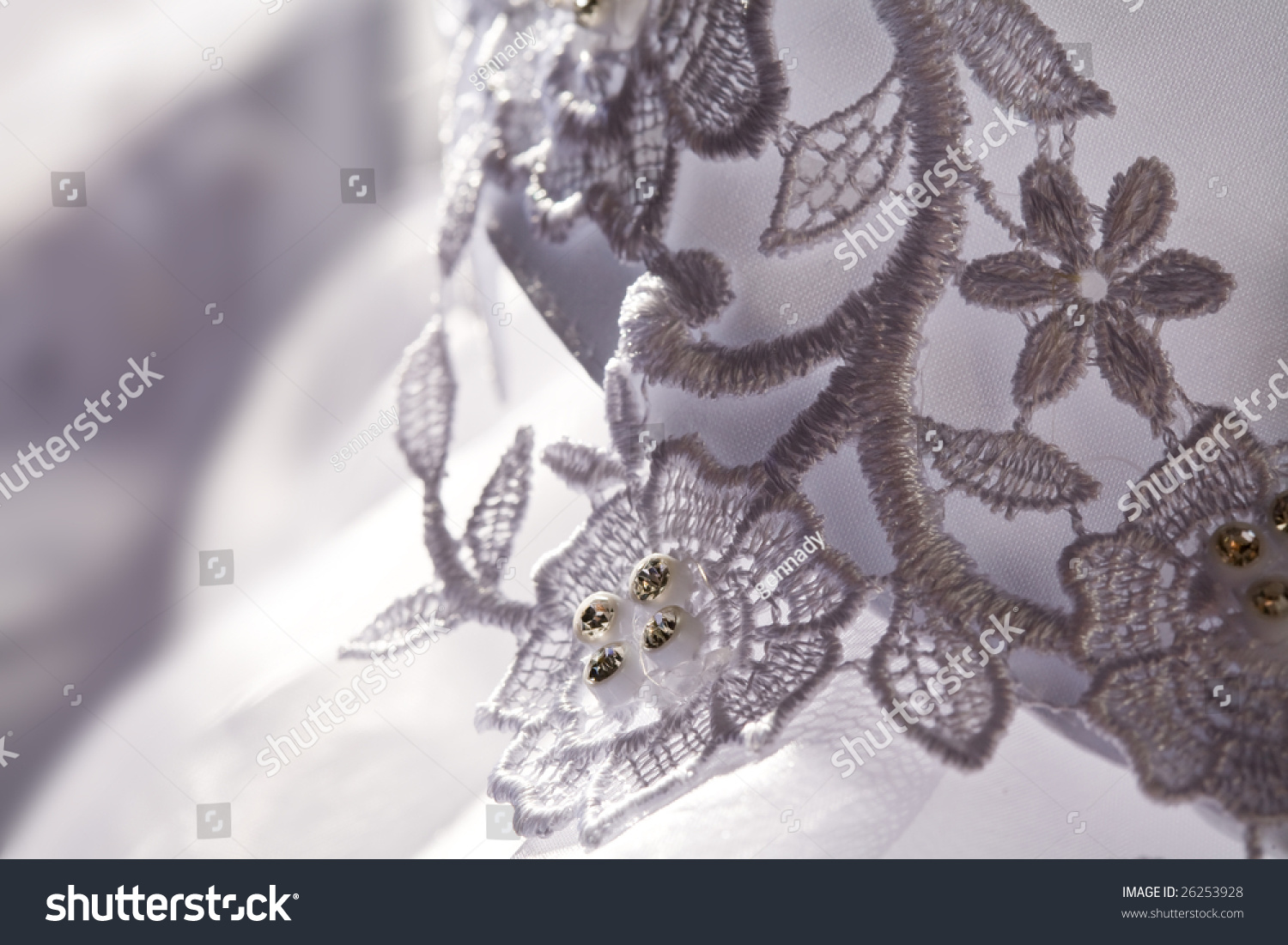 Macro Picture Lace On Wedding Dress Stock Photo Edit Now 26253928
