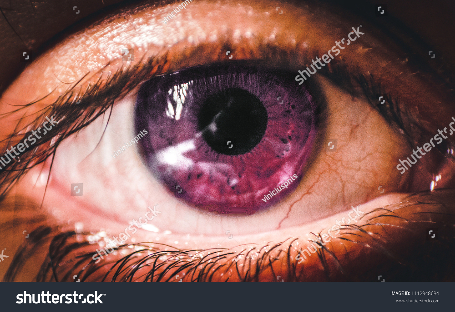Macro Purple Eyes Stock Photo Edit Now