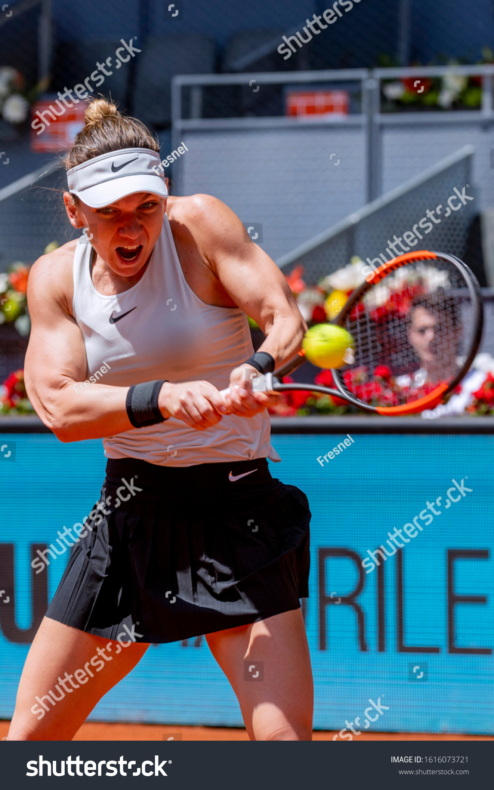 simona halep world Senior