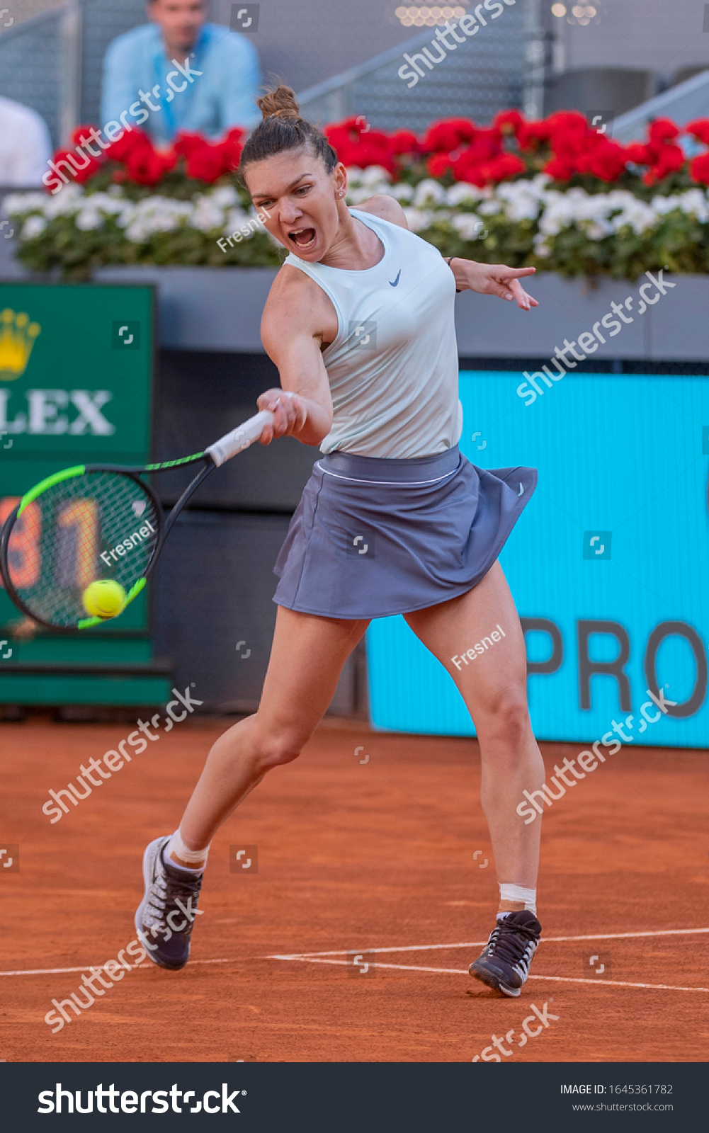 simona halep world Senior