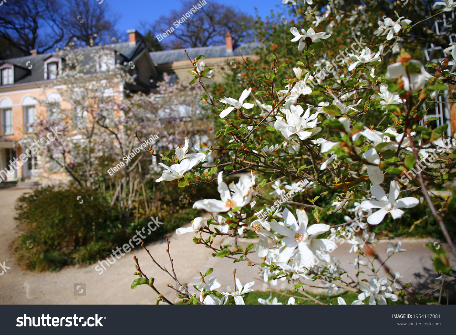 Maison De Chateaubriand France April 21 Stock Photo Edit Now