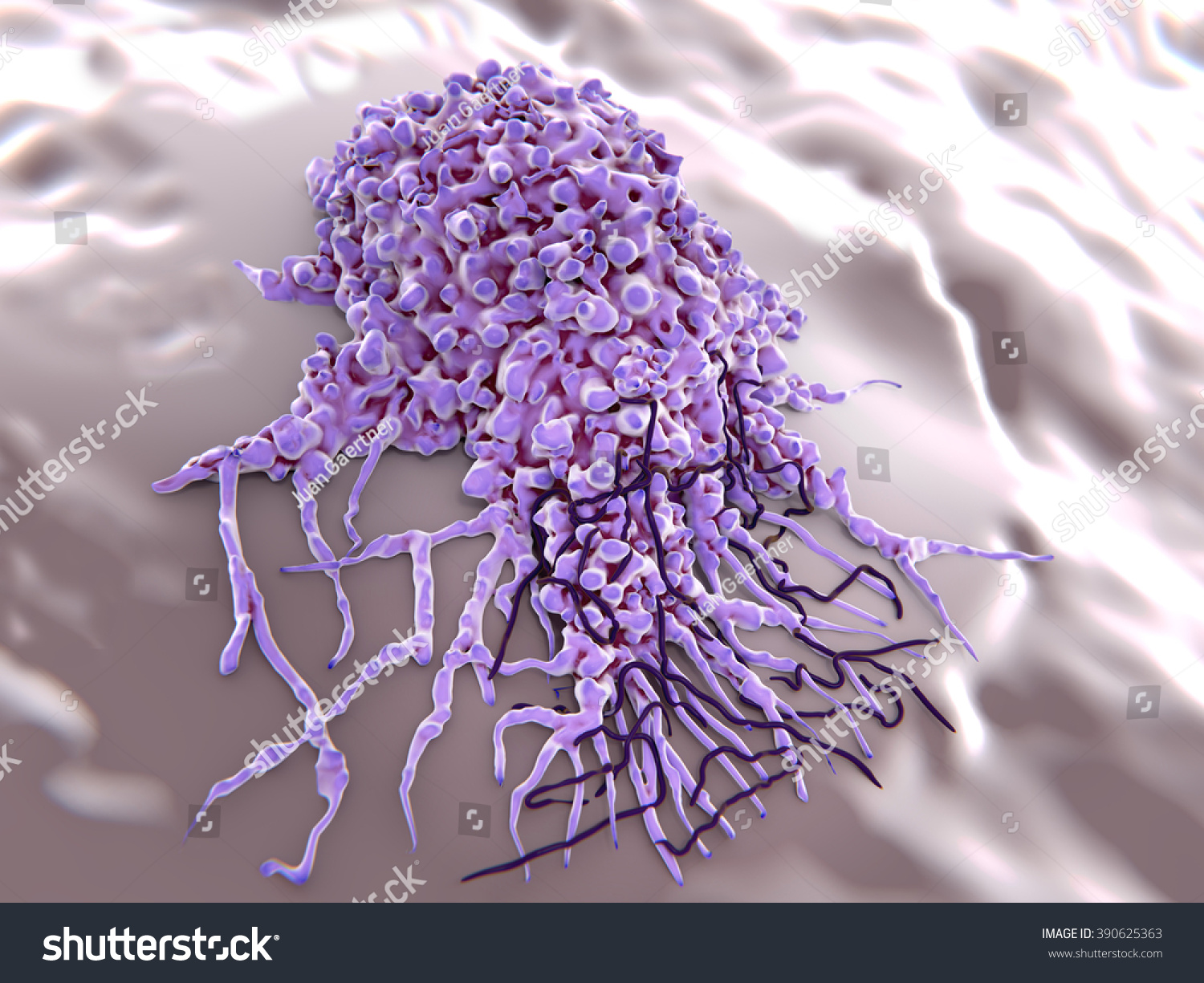 Makrophage Engulfing Borrelia Bacteria Stock Illustration 390625363