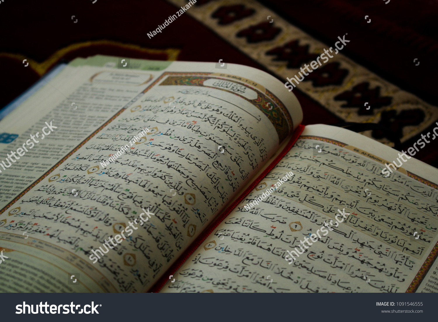 Download 61+ Contoh Surat Surat Al Mulk Quran Terbaik Dan Terbaru