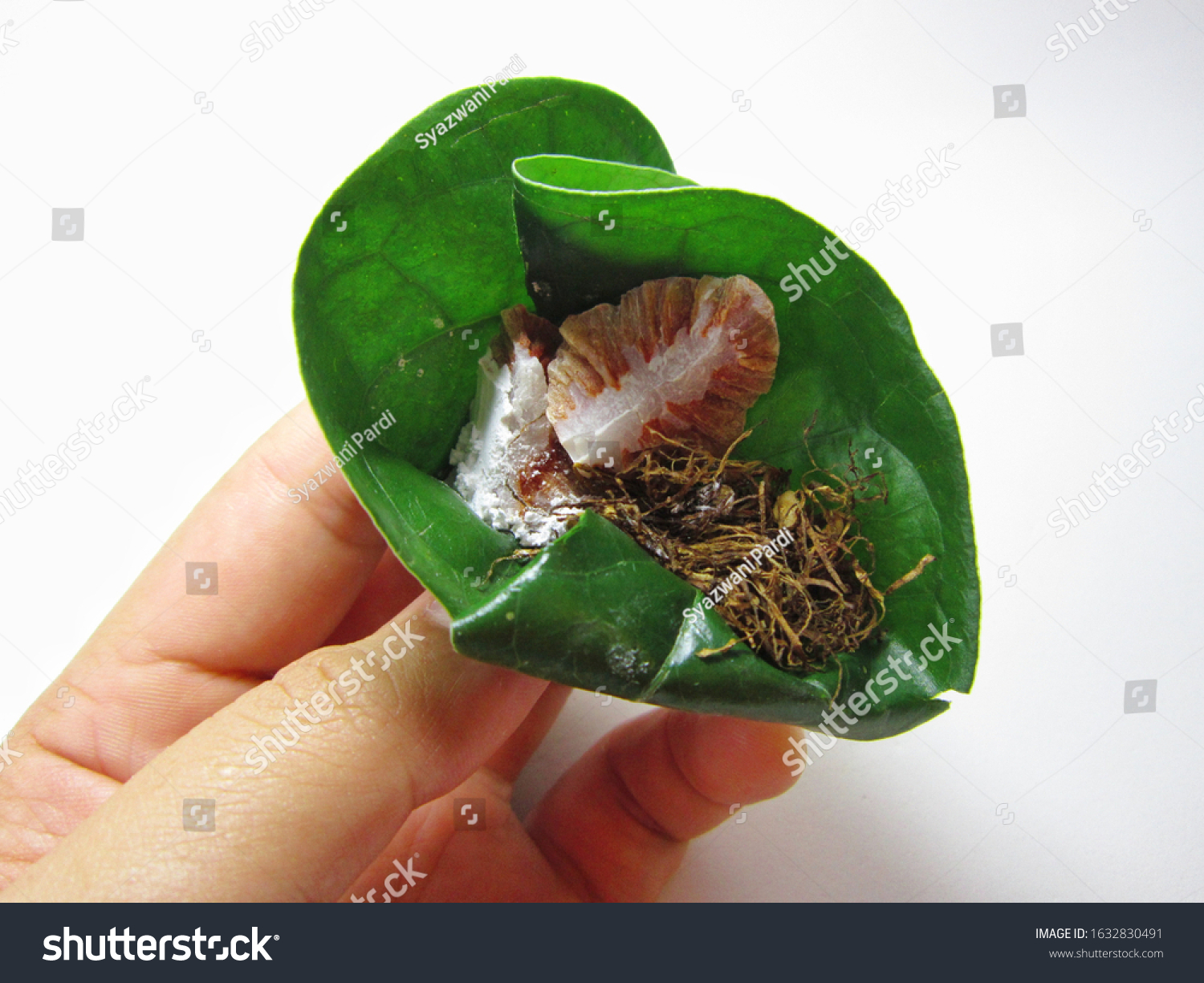 Malaysia 222020 Hand Holding Betel Quid Stock Photo (Edit Now 