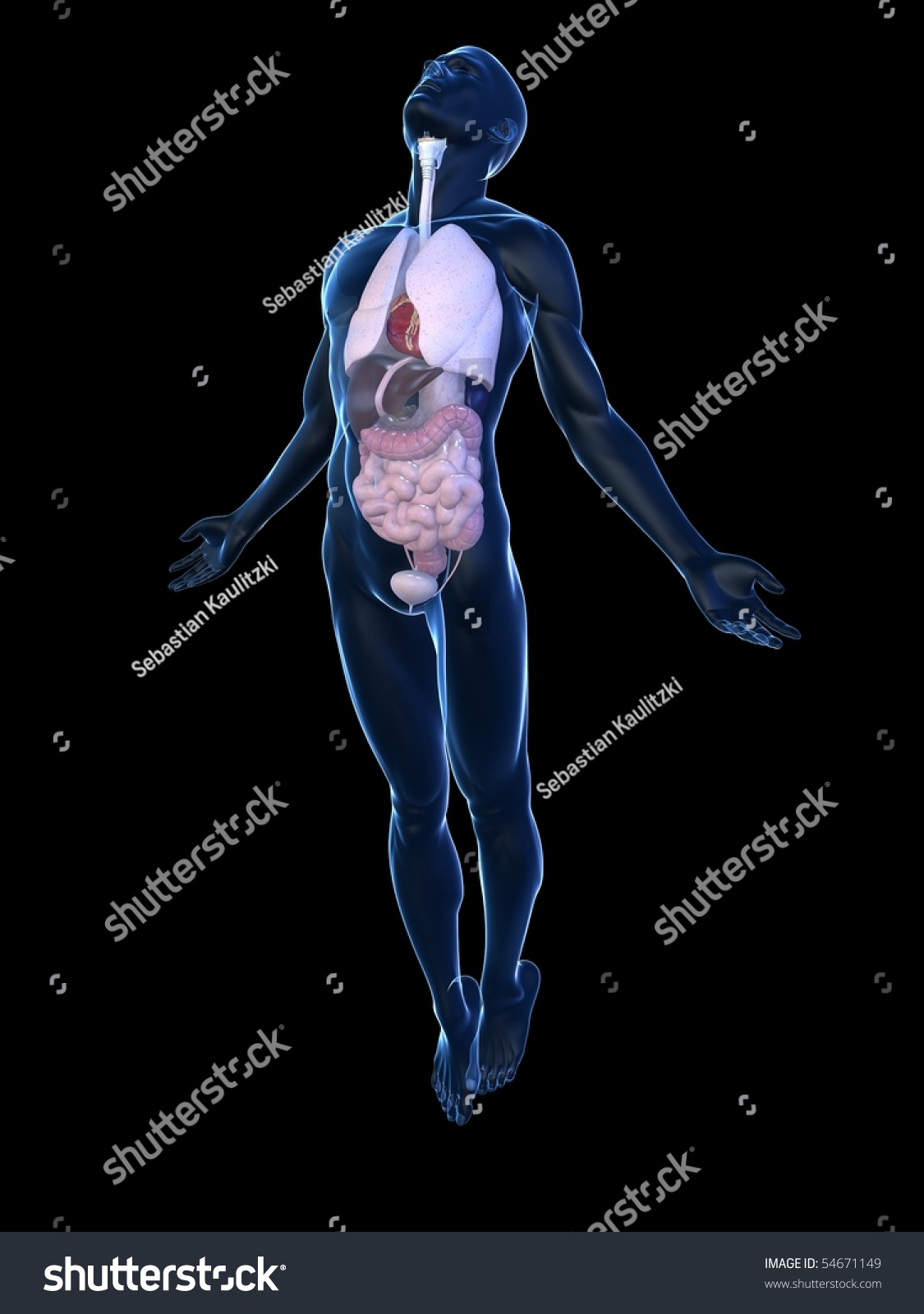 Male Body Rising Stock Photo 54671149 : Shutterstock