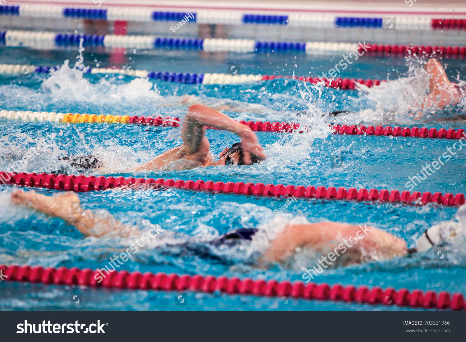 Male Swimmers Competing Race Anonymous Athletes Stock Photo 703321966 ...