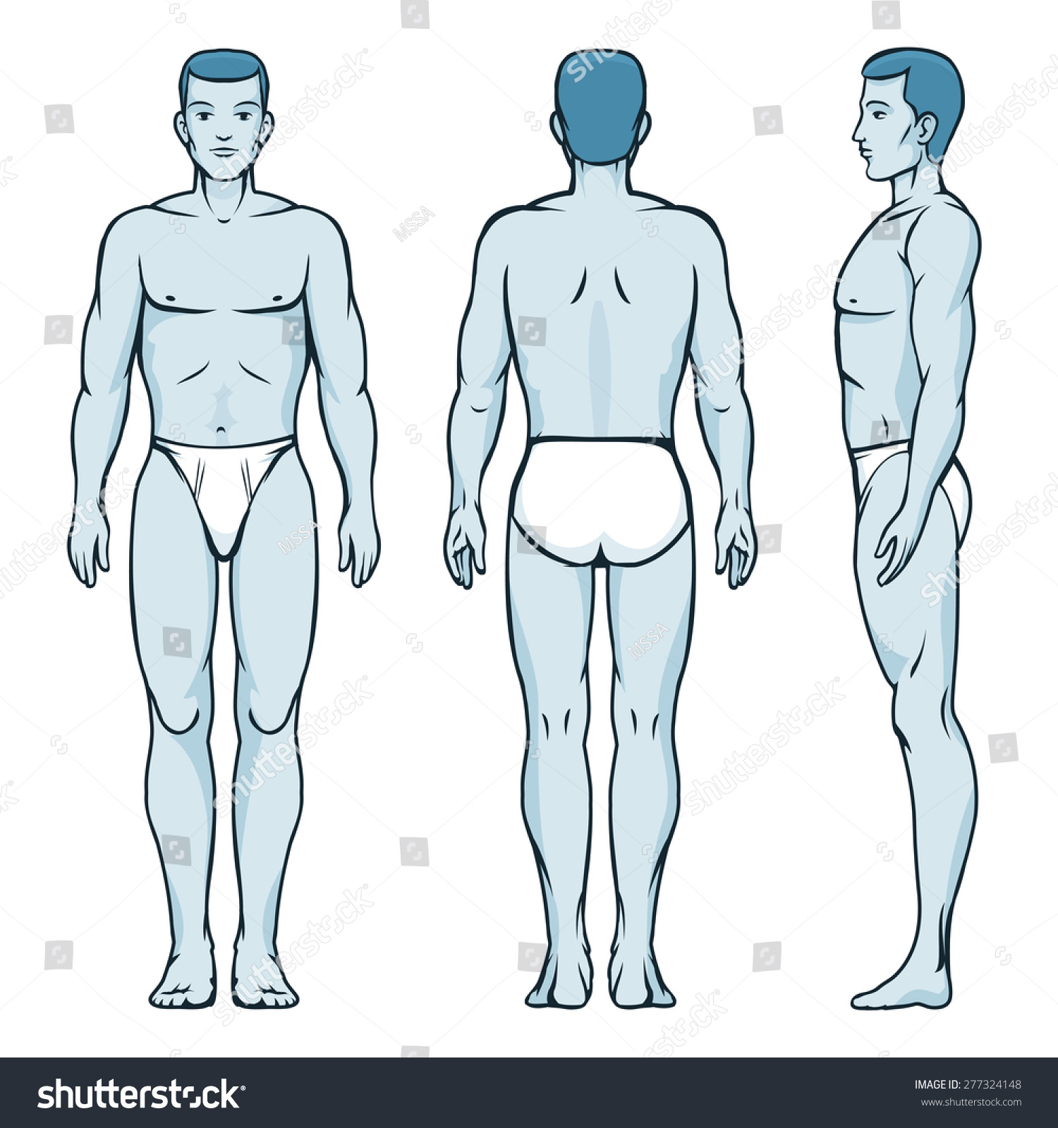 Man Body Model Front Back Side Stock Illustration 277324148 - Shutterstock