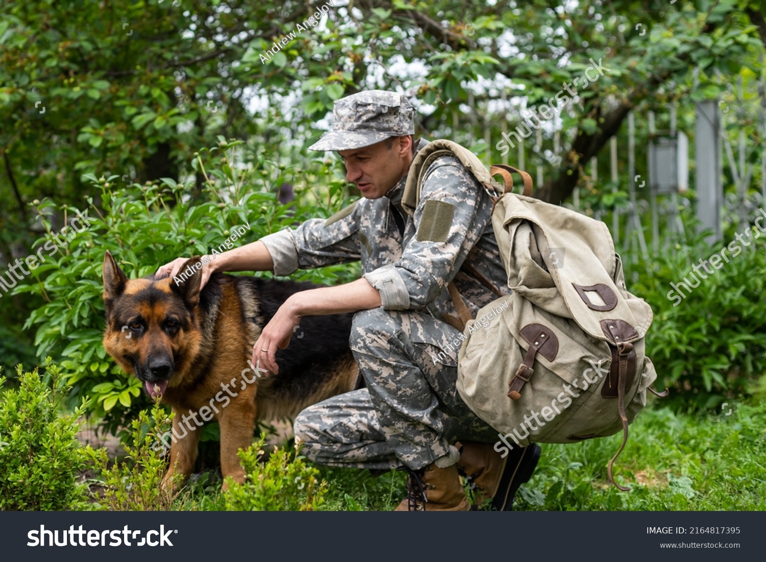 Man Military Uniform German Shepherd Dog Stock Photo 2164817395