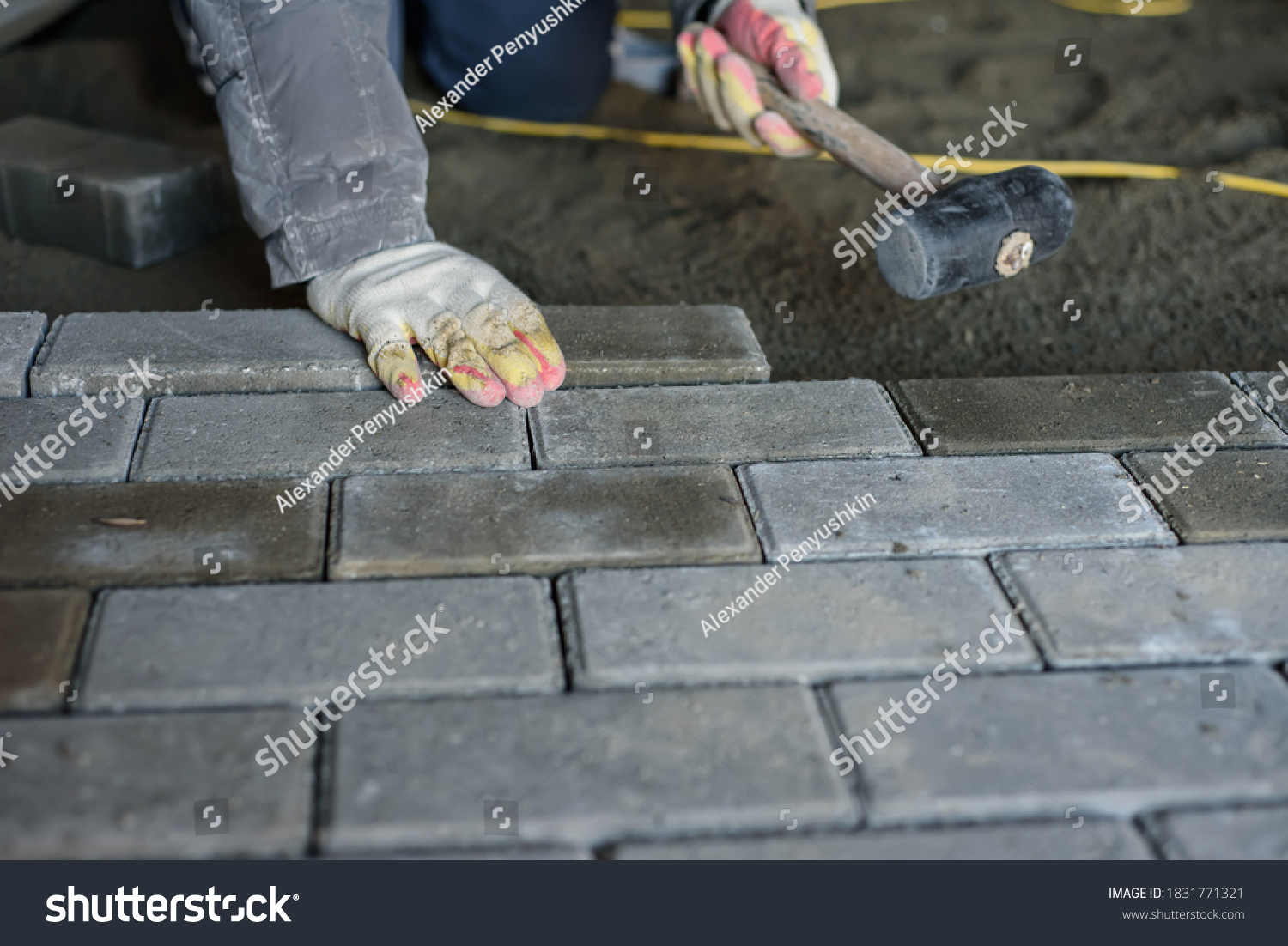 Man Laying Paving Stones On Floor Stock Photo (Edit Now) 1831771321