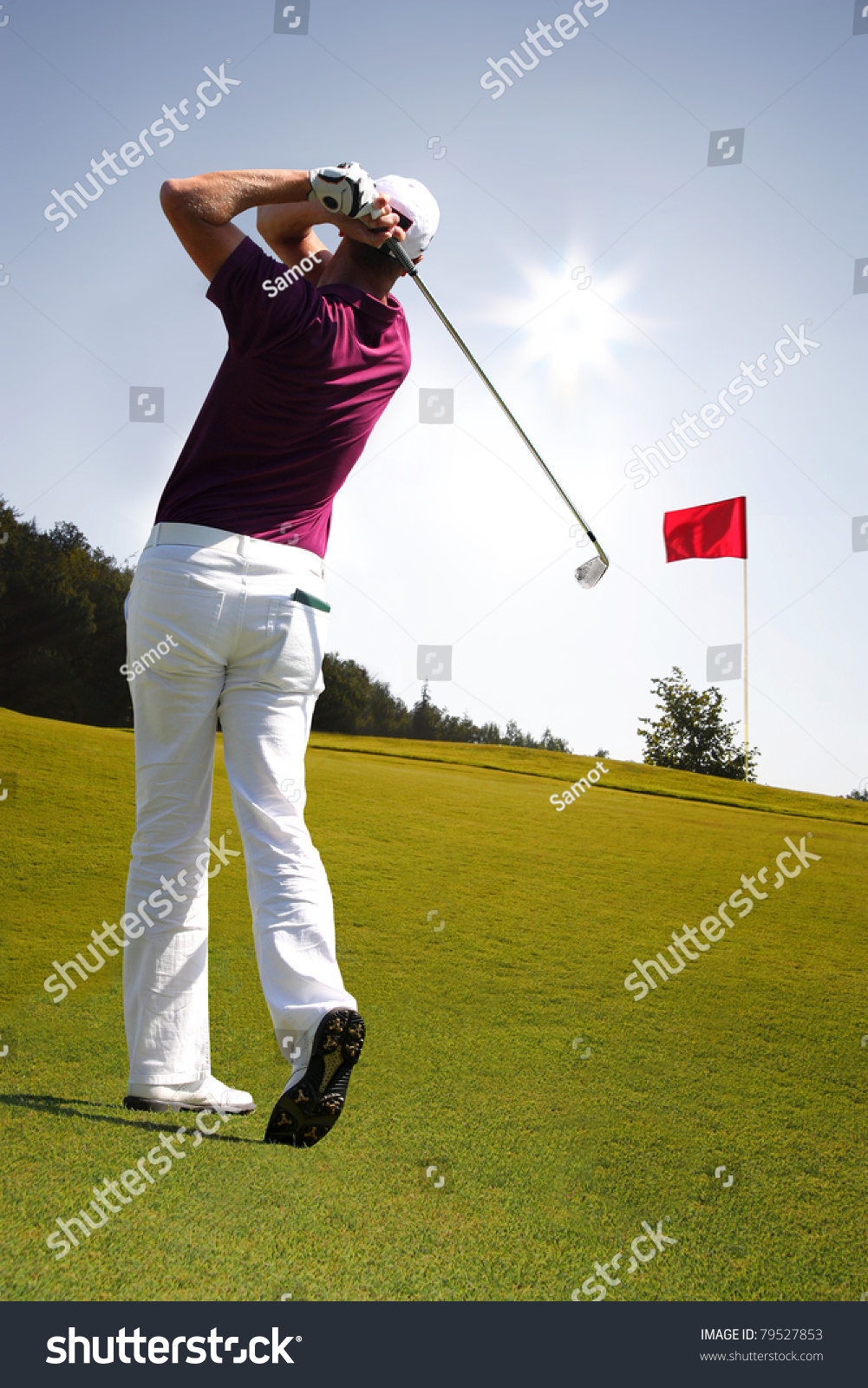 Man Playing Golf Stock Photo 79527853 : Shutterstock