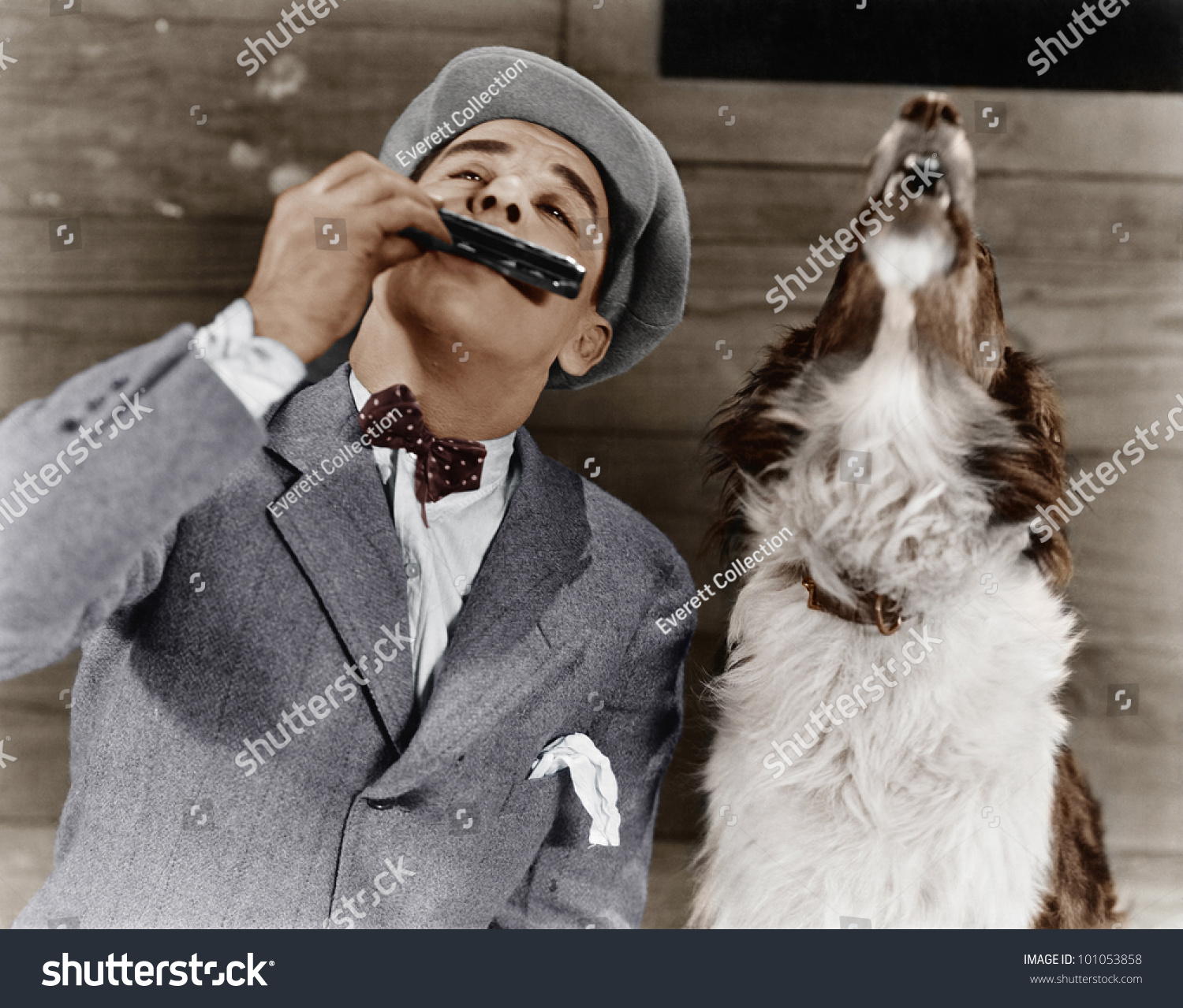 Suchen Sie Nach Man Playing Harmonica Howling Dog Stockbildern In Hd Und Millionen Weiteren Lizenzfreien Stockfotos Illustrationen Und Vektorgrafiken In Der Shutterstock Kollektion Jeden Tag Werden Tausende Neue Hochwertige Bilder Hinzugefugt