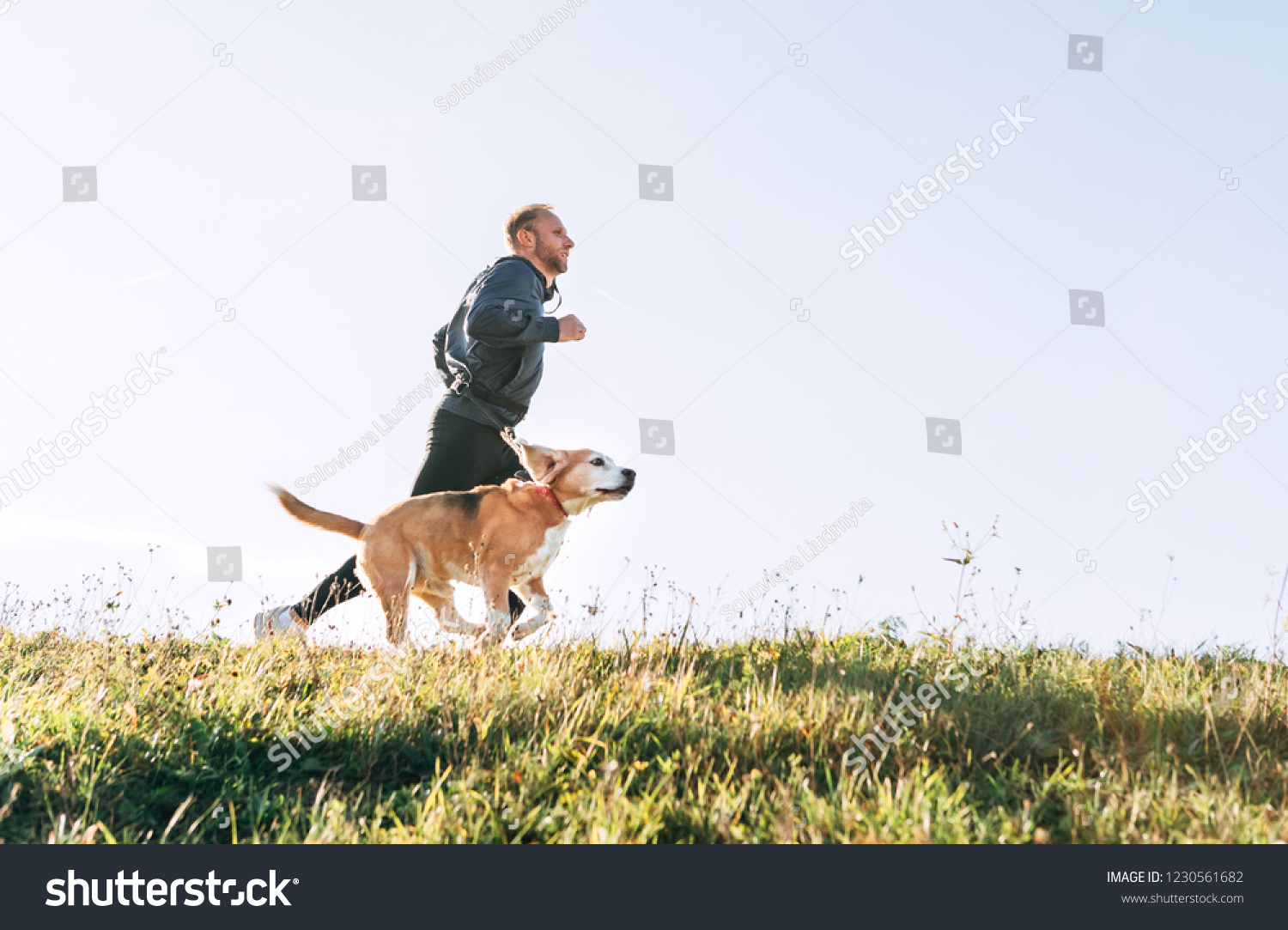 男はビーグル犬と走る モーニング キャニクロスの運動 の写真素材 今すぐ編集