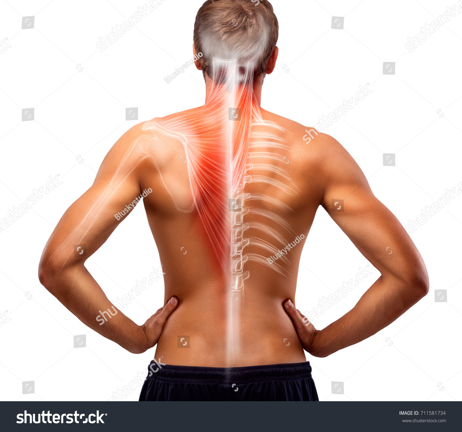 Mans Back Bones Illustration Stock Photo Edit Now 711581734