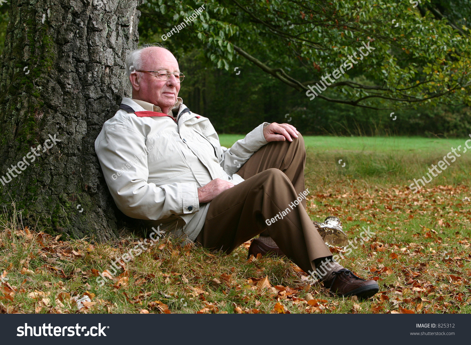 Man Sitting Against Birch Tree Stock Photo 825312 - Shutterstock