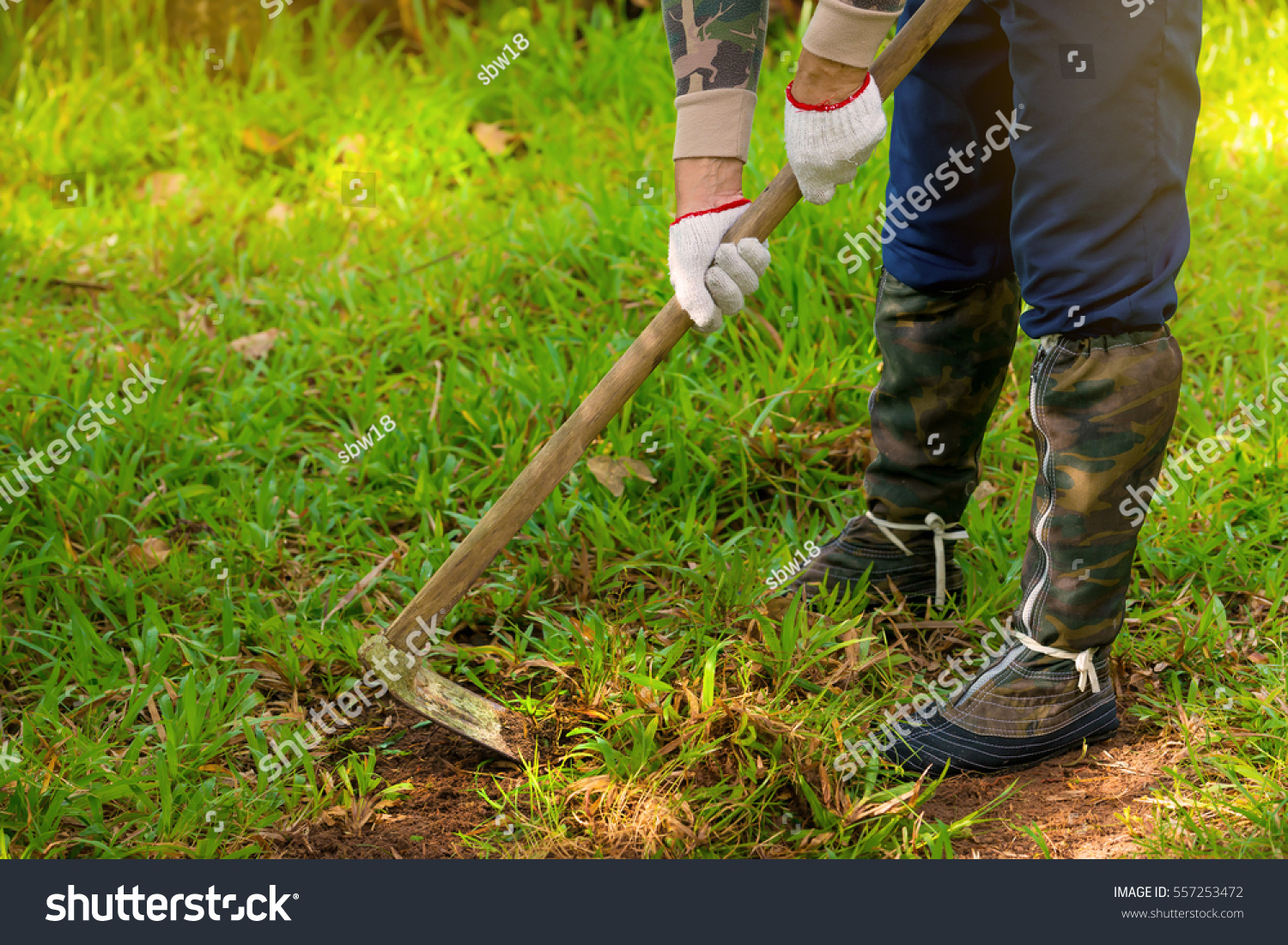 Man Weeding His Garden Hoe Adult Stock Photo 557253472 - Shutterstock
