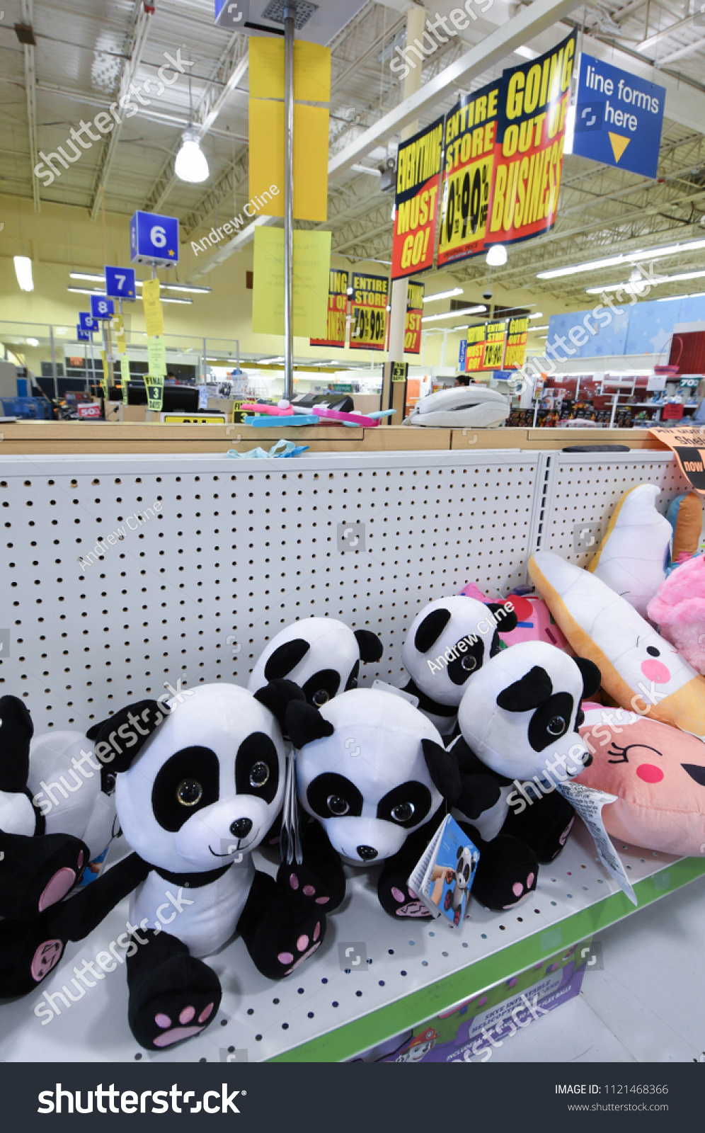 toys r us panda teddy