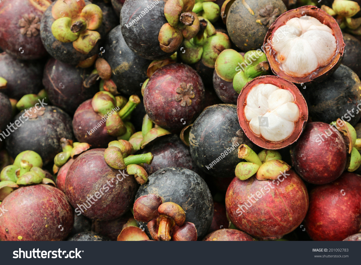 Mangosteen Large Fruit Trees Prefers Humid Stock Photo Edit Now