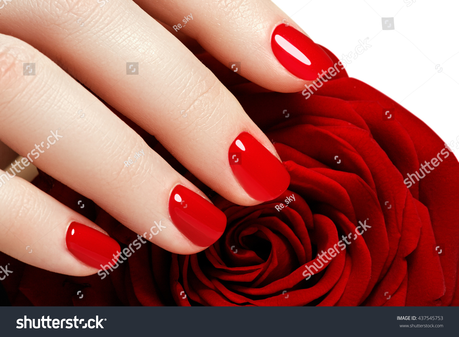 Manicure Beautiful Manicured Womans Hands Red Stock Photo Edit Now