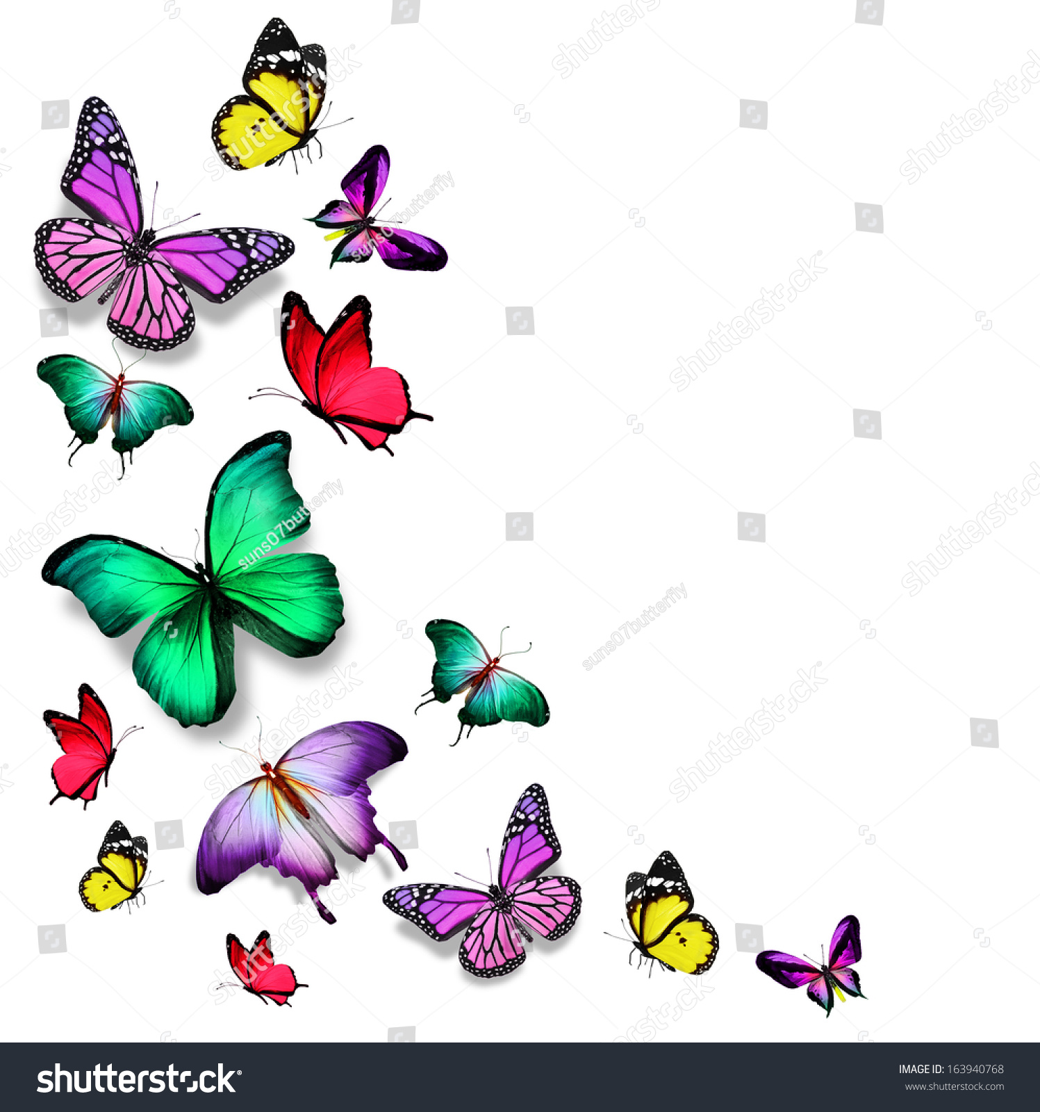 Many Color Different Butterflies Flying Stock Photo 163940768 ...