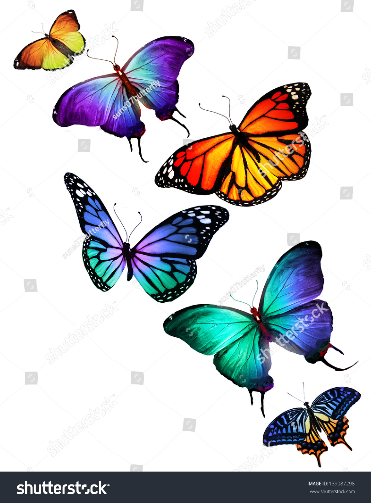 Many Different Butterflies Flying, Isolated On White Background Stock ...