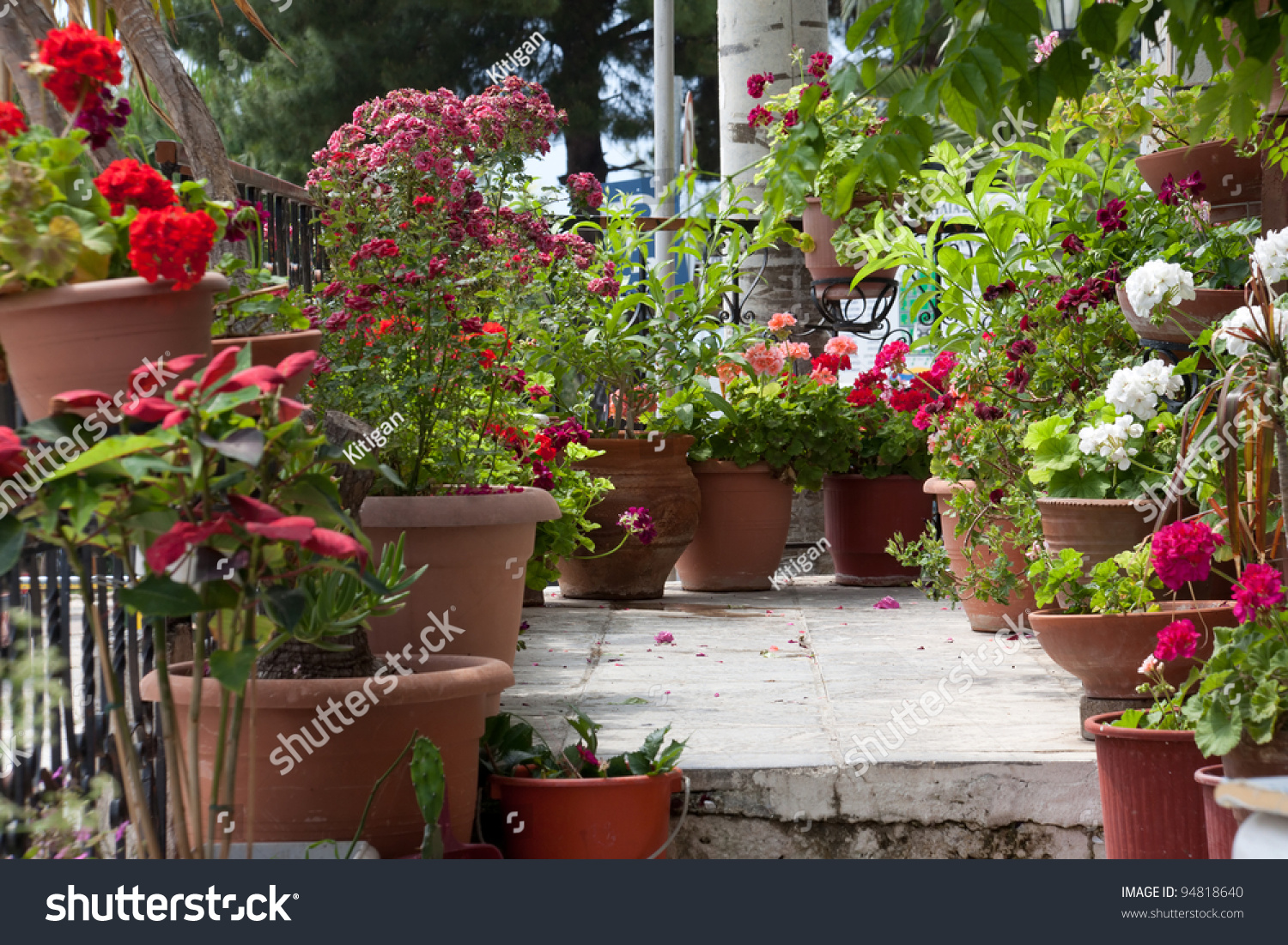 Цветы в горшках на балконе - стоковое фото kitigan #40341493.