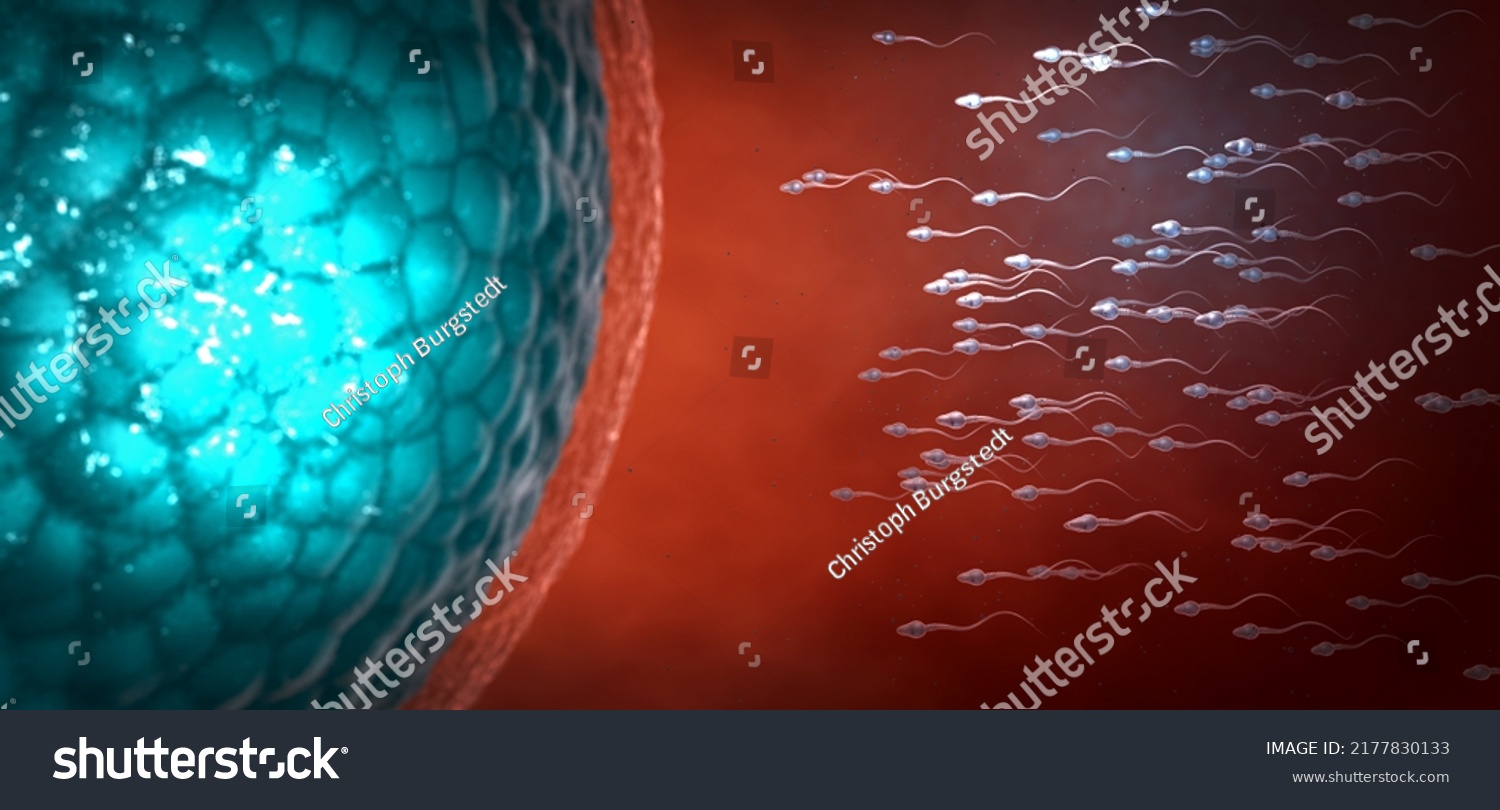 Many Sperm Cells Slightly Transparent Scientifically Stock Illustration